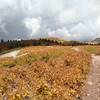 The trail continues along this ridge - be sure to look around at this opening as the views are spectacular.