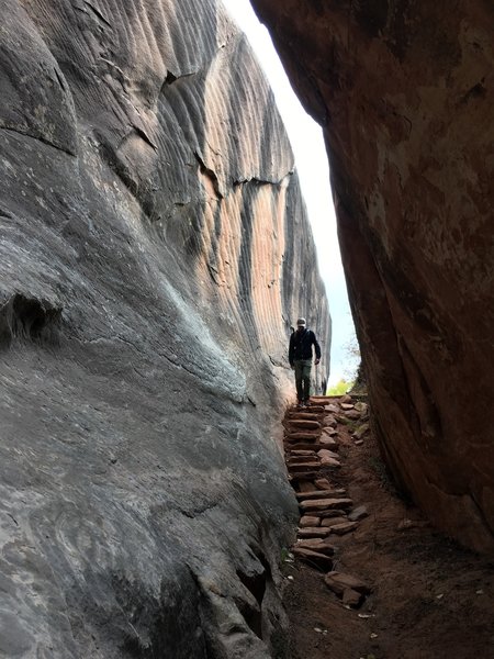 An enormous boulder split in two and left this slot