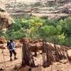 The turkey pen - 1,000 year old sticks still standing!