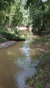 Spring Creek.