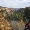 The views start to open up into Hammond Canyon.