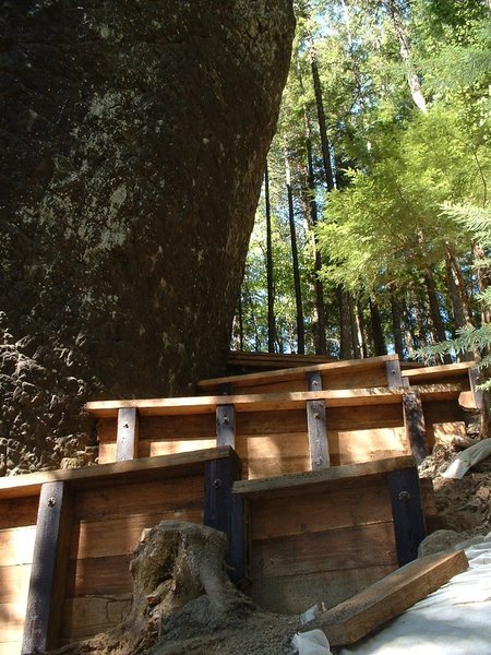 There are large climbing platforms around the base of the rock that can be viewed from Frenches Dome Trail. Photo by USFS.