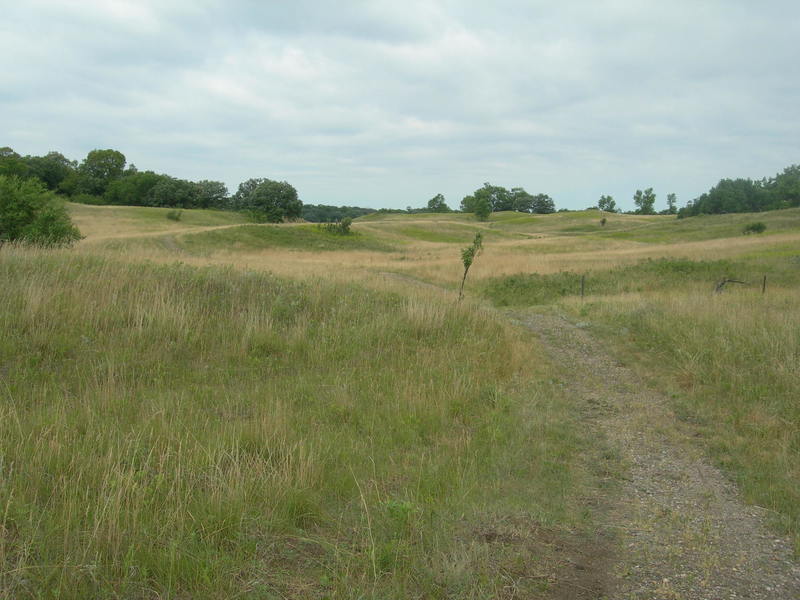 You can see the sandhill landscape in this photo.