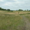 You can see the sandhill landscape in this photo.