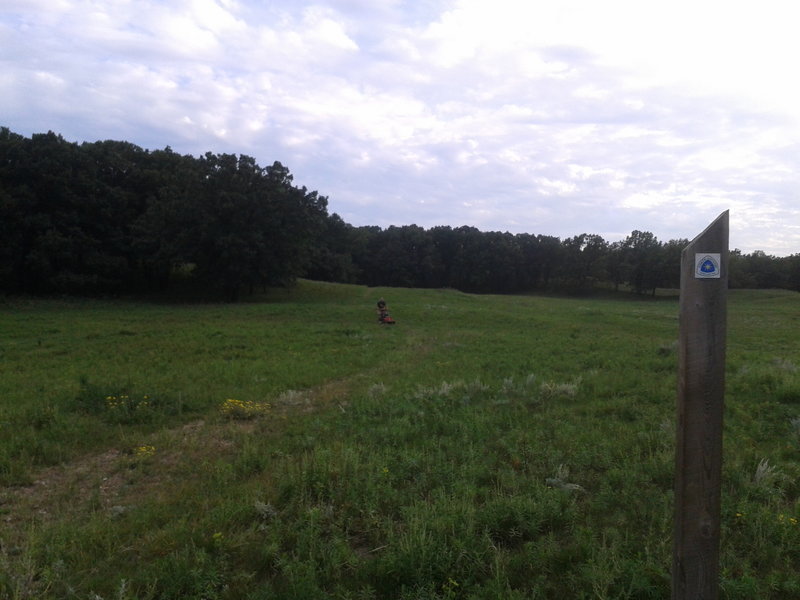 The trail is mowed by volunteers with a walk-behind brush mower.