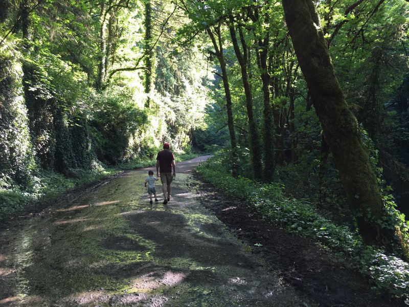 A light hike up NW Leif Erikson Drive Trail.