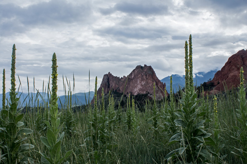 Cloudy day.