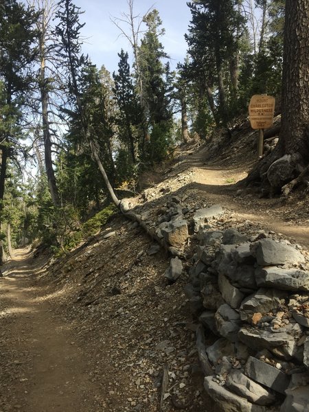 One of the many switchbacks.