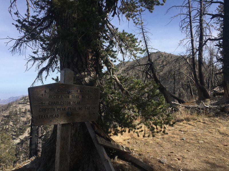 The sign at the saddle, Griffith Peak in the background.