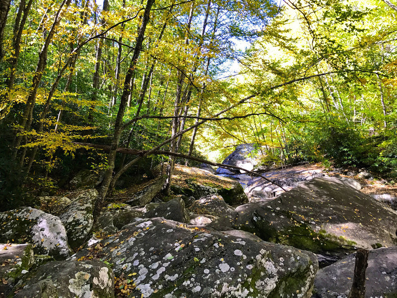 Boone Fork Creek.