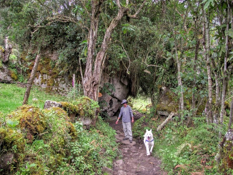 Walking to the waterfalls.