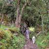 Walking to the waterfalls.