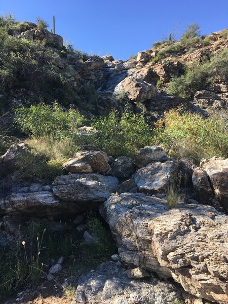 Looking up at Lime Falls, just need to add water.