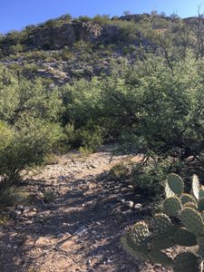 View of the trail leading to Lime Falls. The hill in the photo was a source of lime for the nearby kilns.