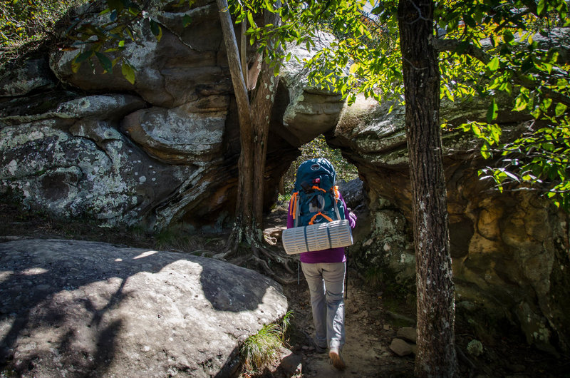 A natural archway over the portion of the trail approaching the Garden of the Gods Observation loop.