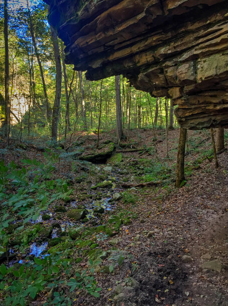 The water-eroded underside of one of the sandstone bluffs juts out over the riverbed trail.