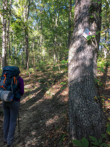 A blaze indicating where trail 010 and 001A meet up; the trails often do not conform with USGS quads in this area.