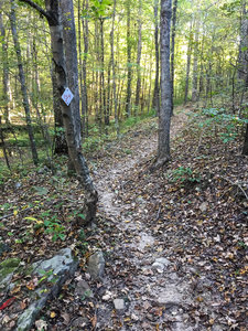 Intersection of FS1440 and Trail 154. 1440 is marked on USGS quad, trail 154 is not.