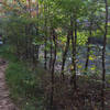 Medium-sized pond along Buzzard ridge. Potential water source.