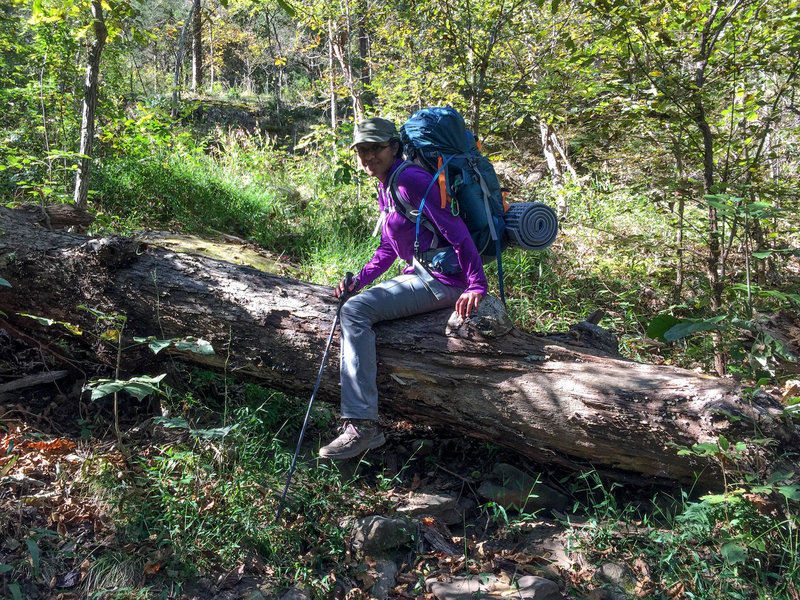 Navigating downed logs on Pharaoh Trail (108H).