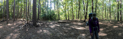Potential campsite for backpackers off FS Trail 001A.
