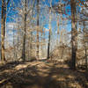 The quiet, forested ridgeline leading away from the Parking lot.