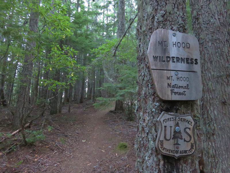 Hidden Lake Trail enters the south side of the Mt. Hood Wilderness.  Photo by wanderingyunks.