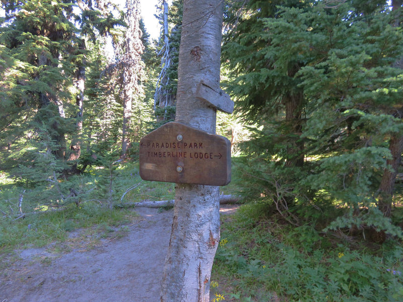 The Hidden Lake Trail intersection with the PCT. You can loop back down on Paradise Park Trail.  Photo by Wanderingyunks.