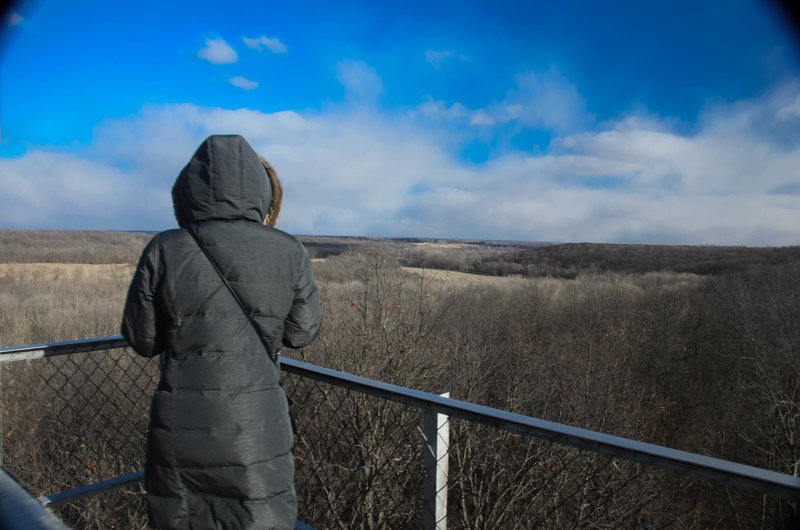 Looking out over the river from the lookout tower.