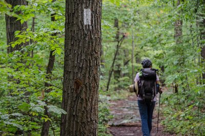 Follow the white Blazes!