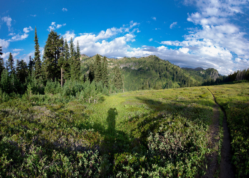 View of Lake Sally Ann from afar on the Cady Ridge trail.