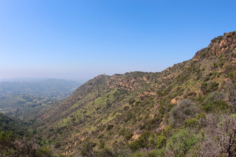 Cahuenga Peak view.