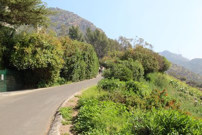 Walking on Wonder View Drive.