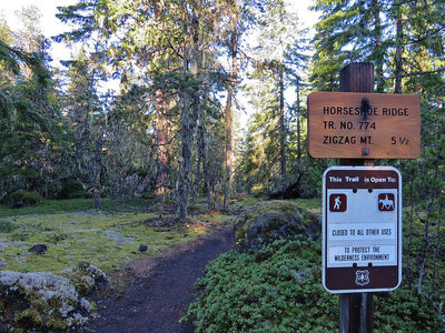 Horseshoe Ridge Trail sign at the trailhead, amidst the moss carpet of Old Maid Flats. Photo by Wanderingyunks.
