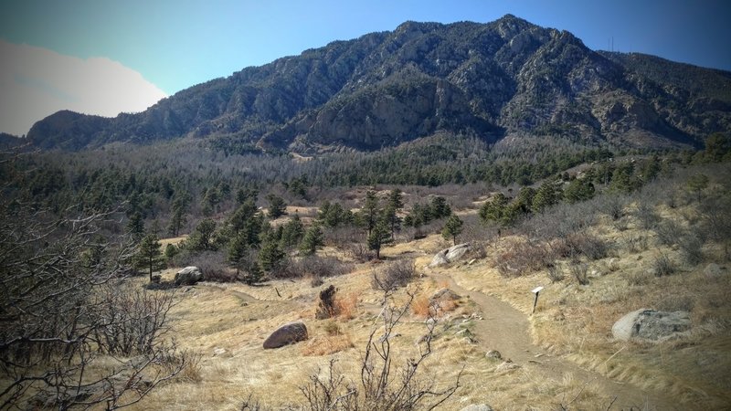 North corner of Blackmer Loop.