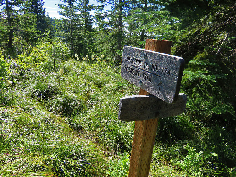 The long slog up Horseshoe Ridge Trail is rewarded with multi-peak views on Zigzag Mountain Trail.  Photo by Wanderingyunks,