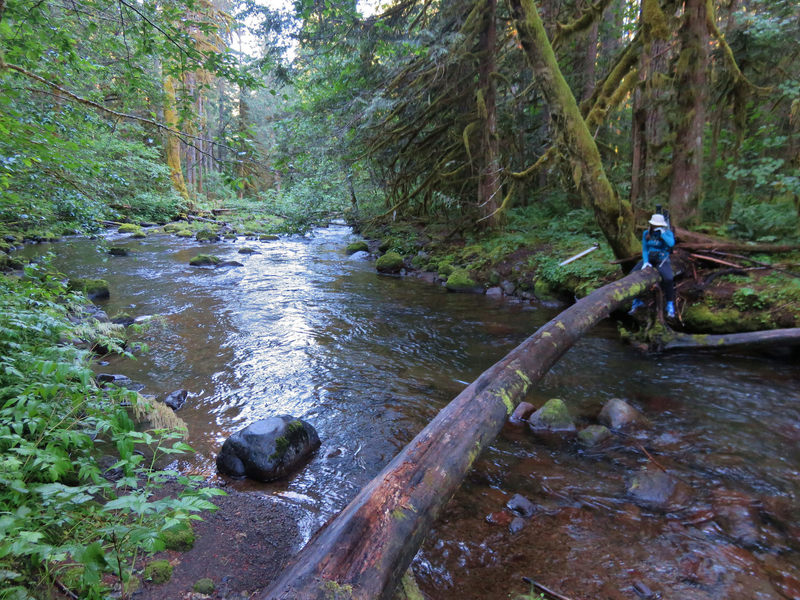 Lost Creek crossing near the beginning of the trail. No bridge exists so find a suitable crossing. Photo by Wanderingyunks.