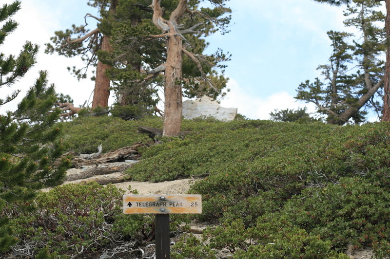 Telegraph Peak sign.