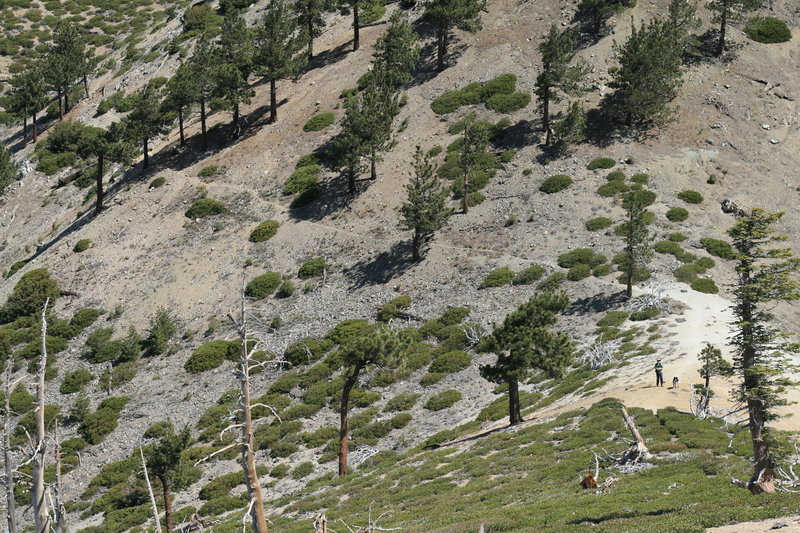 Randy and Loki north of Timber Mountain.