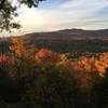 Fall on Henry's Woods.