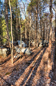 Long Hunter State Park.