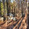 Long Hunter State Park.