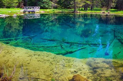 Little Crater Lake is as blue as its namesake and 30-35 feet deep. No swimming or dogs in water please. Photo by Gene Blick