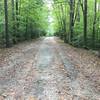 South Run Stream Valley Trail: gravel doubletrack ends and paved doubletrack begins.