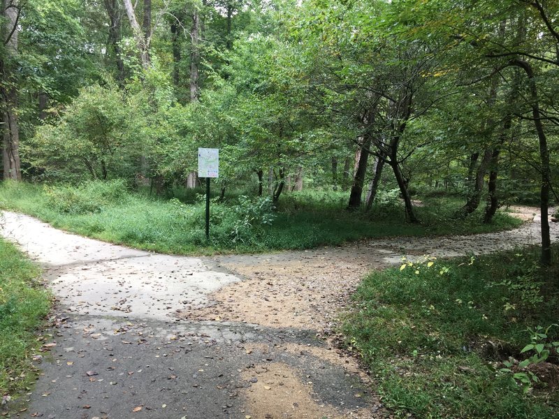 South Run Stream Valley Trail - main trail turns right. Trail changes from paved doubletrack to paved singletrack.