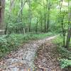 South Run Stream Valley Trail heading east. Singletrack paved.