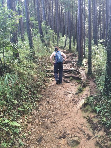 Hiking up Mt. Shiroyama.