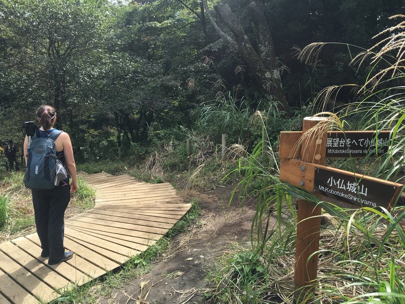 Hiking from Shiroyama to Takao along wooden pathways.