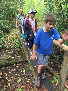 Bridge across Bradley Fork.