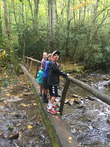 Across the Fork to the trail.